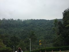 -火炉山森林公园