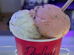 -Dooley's Premium Ice Cream