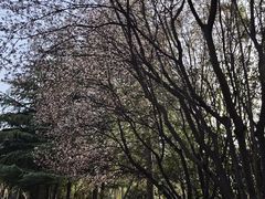 -城市运动公园(未央区)
