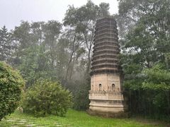 -沈阳植物园