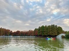 -上海海湾国家森林公园