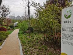 -昆山城市生态森林公园