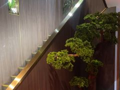 -野菌皇海景野生菌火锅(滨海大道店)
