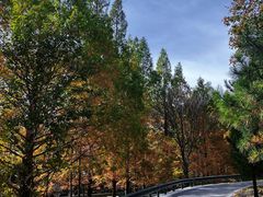 -白水寺森林公园