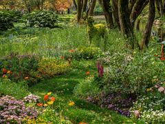 -上海共青森林公园