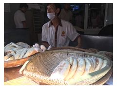 -眼镜粑粑