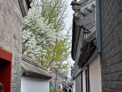 -保定直隶总督署博物馆