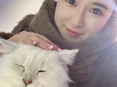 -极木²邸 人与宠物·互动社区