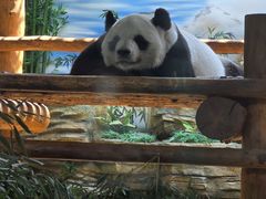 -西霞口神雕山野生动物世界