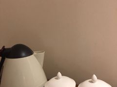 -三亚湾红树林度假世界(木棉酒店)