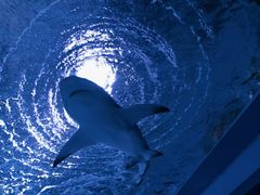 -常州海昌海洋探索馆