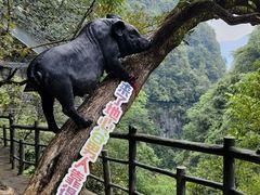 -蝶舞清江·恩施地心谷景区