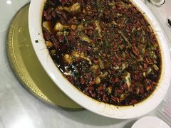 -西木兔(大圆祥店)