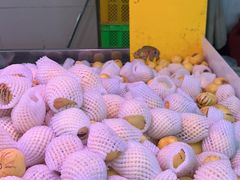 -五里多农博广场