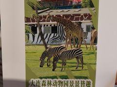 -大连森林动物园