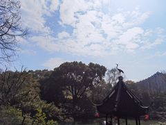 -上海醉白池公园