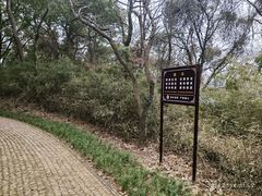 -苏州上方山国家森林公园