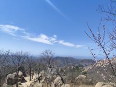 -九河居(荔湾路店)