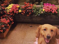 -浔岚云舍mist静谧观景美宿(丽江古城店)