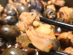 鸡肉-食爺炭炉鸡煲·烧烤