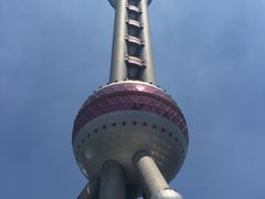 -东方明珠国际旅行社有限公司