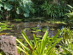 -中国科学院西双版纳热带植物园