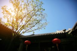 -花家怡园·宴会厅(簋街四合院总店)