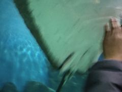 -苏州海洋馆