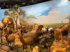 -陕西自然博物馆