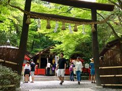 -野宫神社