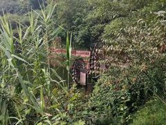 -重庆彩云湖湿地公园