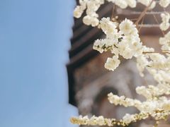 -玲珑塔公园