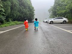 -武陵山森林公园