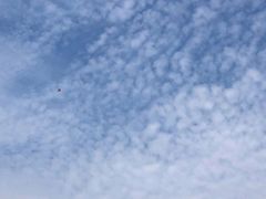 -东疆建设开发纪念公园