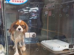 -FAELING PETS美天灵宠物(富力广场店)