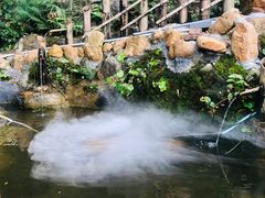 -大本营竹筒饭