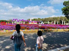 -松山湖梦幻百花洲