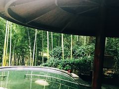 -天目湖御水温泉·度假酒店