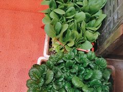 -荣祥海鲜·烟台菜(胜利路二部)
