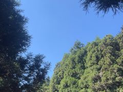 -南岳衡山风景名胜区