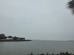 -万绿园