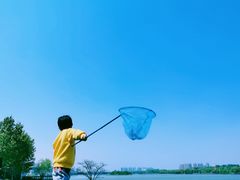 -灞河西岸滨河公园