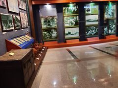 -二沙岛-广东华侨博物馆