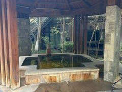 -张家港金凤凰度假村温泉
