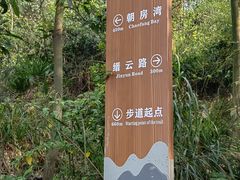 -缙云山景区
