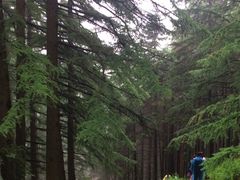 -管涔山