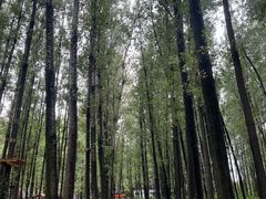 -林间山庄