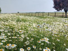 -汉长安城未央宫国家考古遗址公园