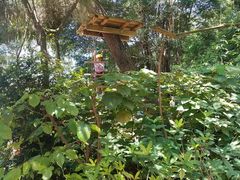 -芦仙山景区-飞越丛林探险乐园