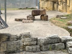 -苏州上方山国家森林公园
